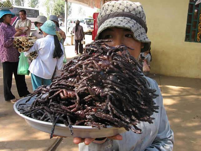 Wine Ular hingga Laba-laba Goreng, 6 Kuliner Ekstrem Ini Selain Bikin Perut Mulas, juga Merinding