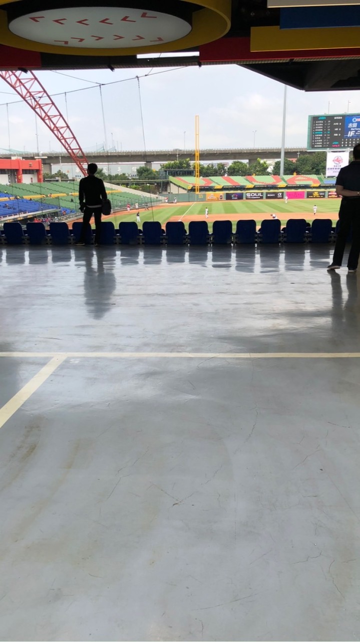 WBC世界棒球經典賽 CPBL MLB 日本職棒 討論群組