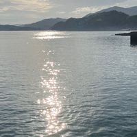 中2で推しについて語ろう！