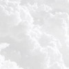 SHEIN無料ギフトみんなで協力！