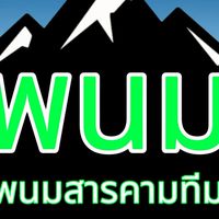 พนมสารคามทีม
