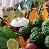 อยู่ไฟหลังคลอด By บ้านตะวัน