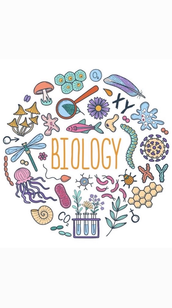 Dek bio 69 🧬💚🫷🏻