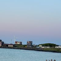 陳泡泡