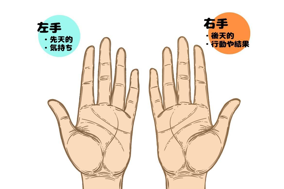 手相占い 結婚線や生命線とは 基本の線と見方 珍しい線についても Charmmy