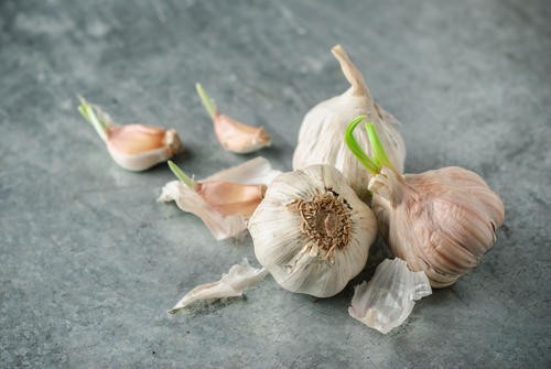 じゃがいもの根は毒だけど にんにくの芽は 捨てないで食べたい理由とは