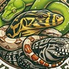 Yi Reptiles &鼠條加大 冷凍鼠頭份自取站