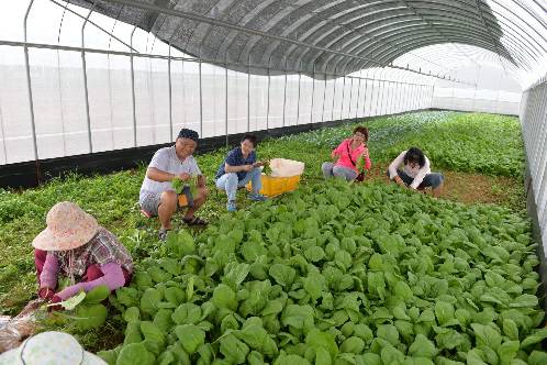 肯納自閉症基金會x肯納園社企台灣唯一照顧雙老莊園親子宅上樑 勁報 Line Today