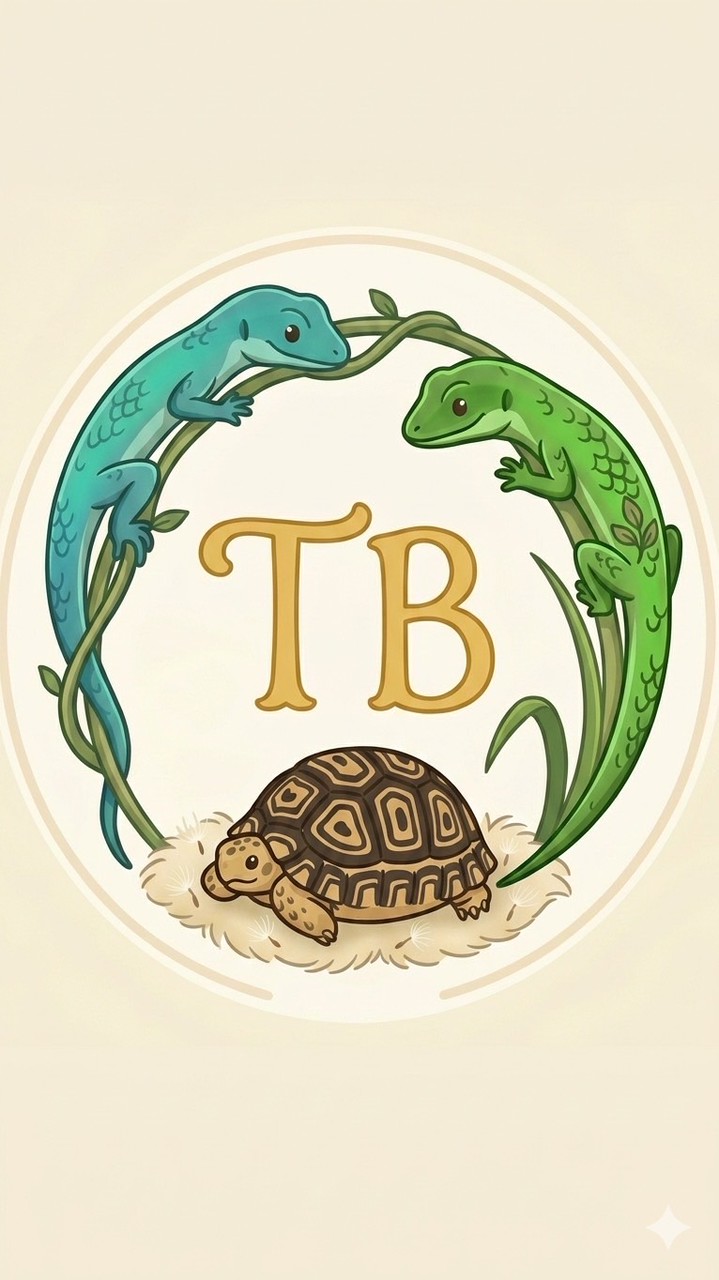TB爬蟲龜舍🐢🦎