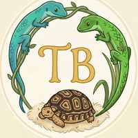 TB爬蟲龜舍🐢🦎