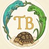 TB爬蟲龜舍🐢🦎