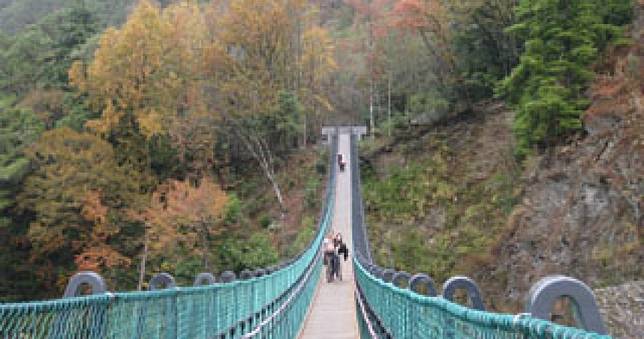 2歲男童墜落「80米高奧萬大吊橋」！當場失去生命跡象
