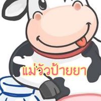 แม่วัวป้ายยา