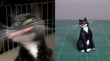 我到底看了什麼？！日本推特爆紅超崩壞貓咪「奇蹟醜照」，還被做成模型太爆笑！