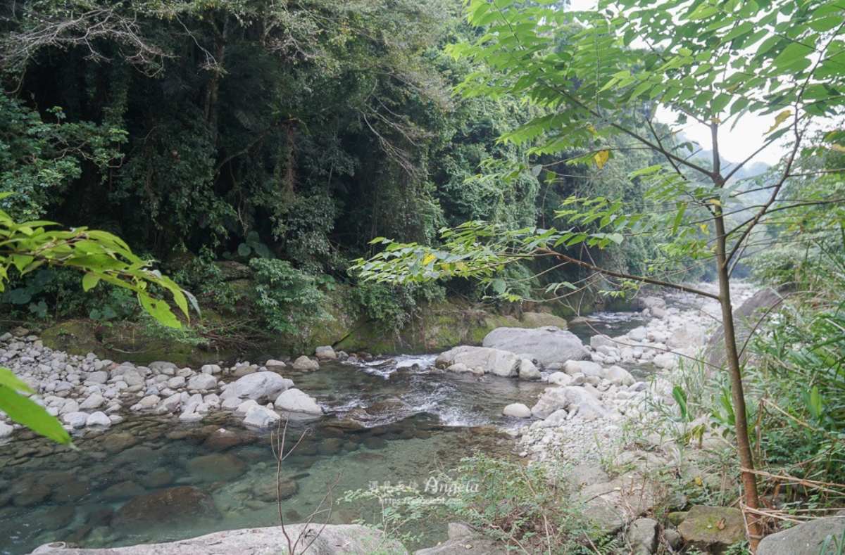 避暑祕境快收藏！苗栗６條免門票「私房步道」：羽量級小百岳、美國大峽谷