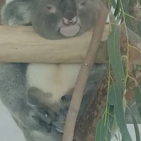 週五固定團
