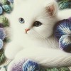 🌸少人数🌸猫好きさんと話したい🐱