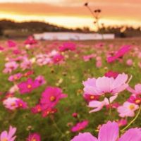 DearFriends栃木県♡茨城県♡群馬県