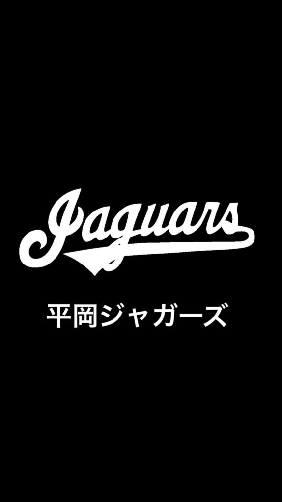 平岡ジャガーズ