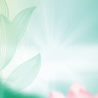 創業合夥人-依菲兒曼老板們