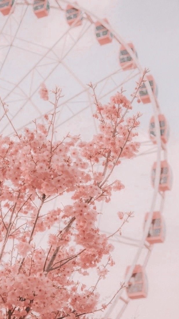 Ami芽芽❤️日常｜好物｜開團🛍️
