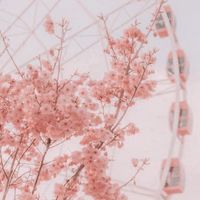 Ami芽芽❤️日常｜好物｜開團🛍️