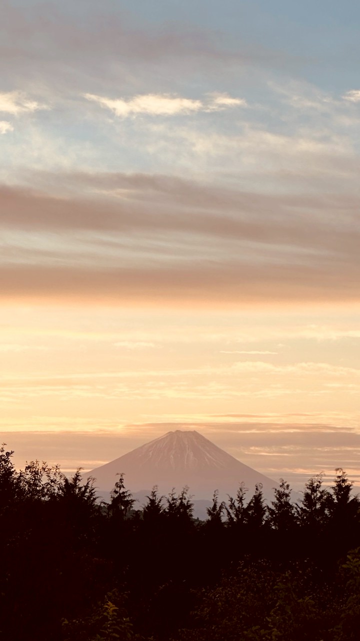 米食う人、稲作知らずby SHEEP THINKING