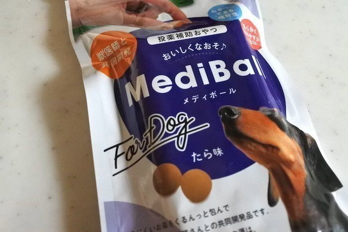 薬が嫌いな柴犬マロたん 上手に薬を飲める工夫を発見