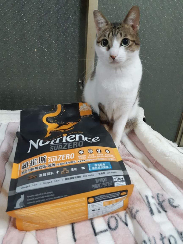 貓飼料推薦-貓奴必備紐崔斯Nutrience 頂級無穀飼料 凍乾系列 成貓無穀 火雞肉+雞肉+鮭魚 2.27kg 開箱分享