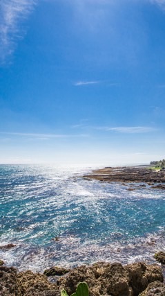 2026。4/3-4/5台灣祭高鐵包車 墾丁