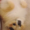 高校物理(基礎)のしちゅもんとかとか