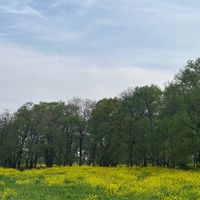 ○△□子ども食堂【お知らせ専用】