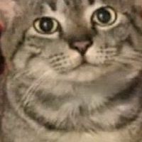 グレン通信♪