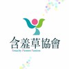 🌿含羞草協會💐