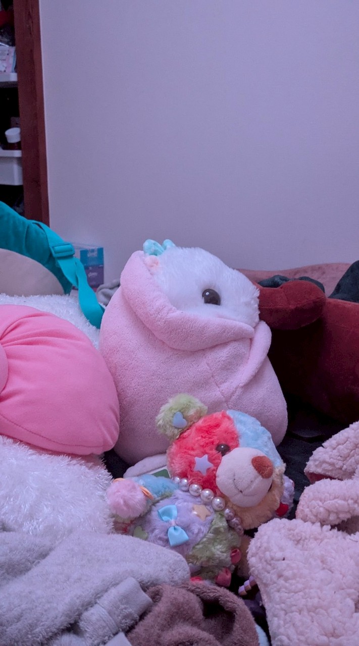 ぬいぐるみの写真