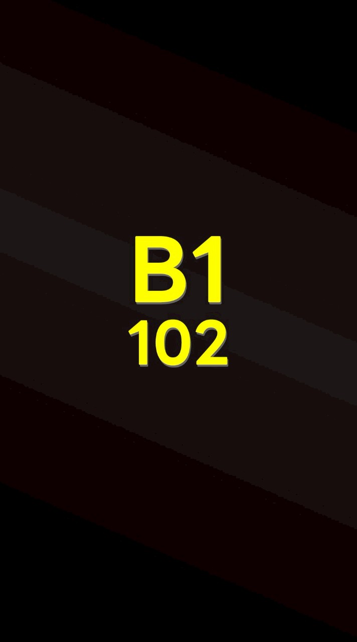 1/69 102-B1
