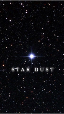 ⋆*STAR DUST*⋆FX_EAのオープンチャット
