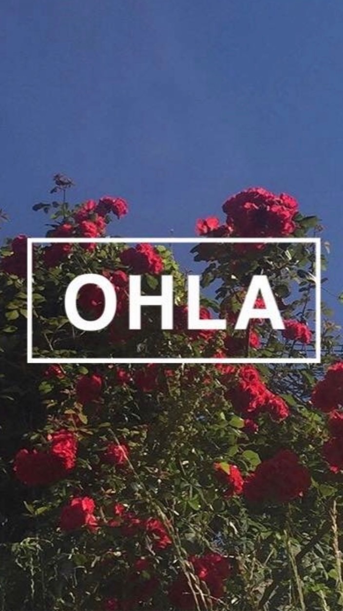 hola_ohla 討論區（非官方）