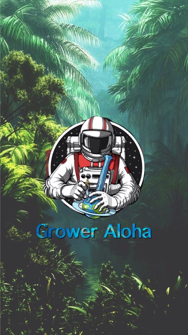 AloHa ‘ Club V.1 🌍 OpenChat