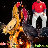 เนรมิตฟาร์ม อรัญประเทศ