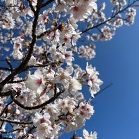 リア充になりたい人集合