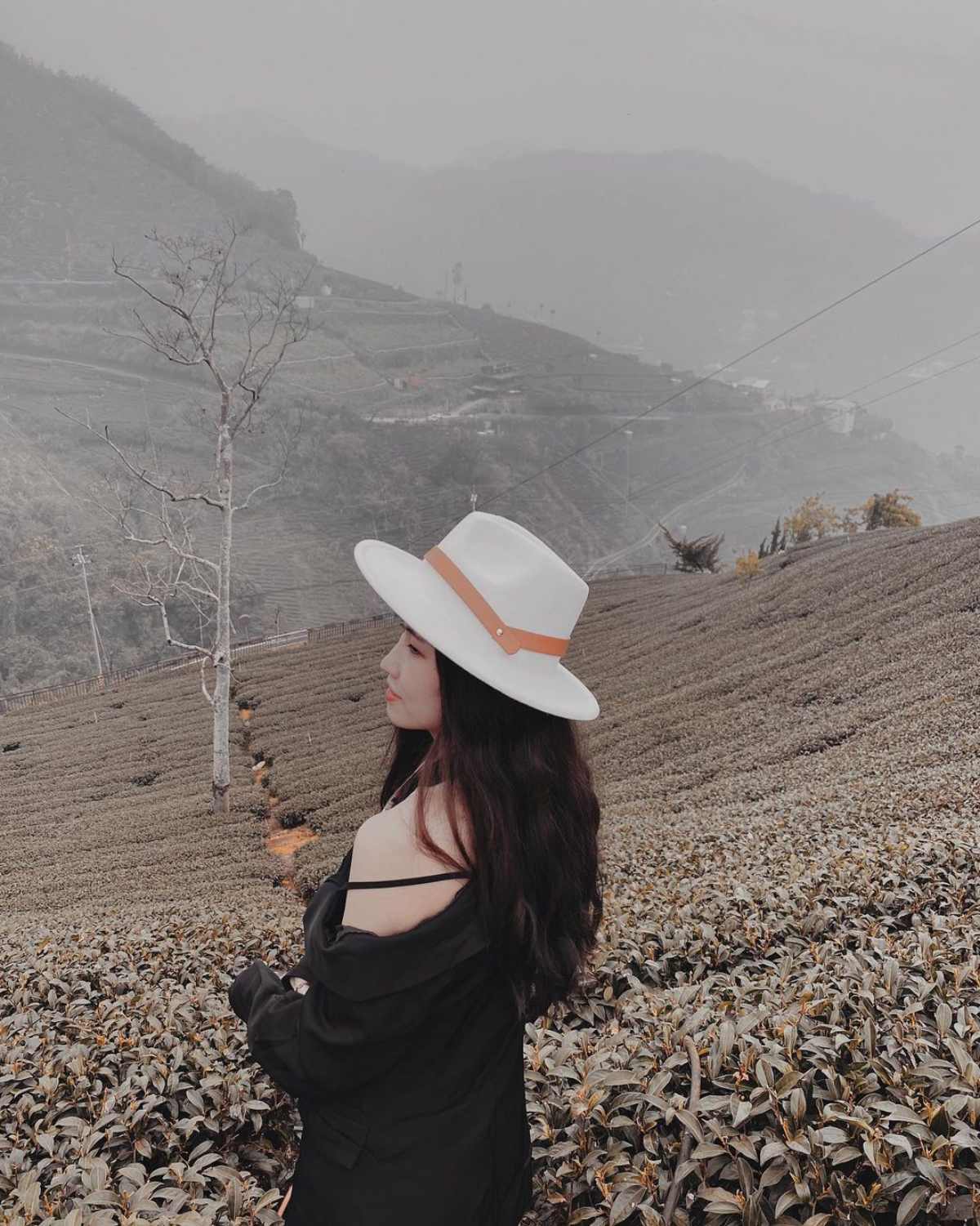 別只去阿里山！嘉義梅山12大祕境：最美茶園步道、台版九寨溝、海拔最高吊橋