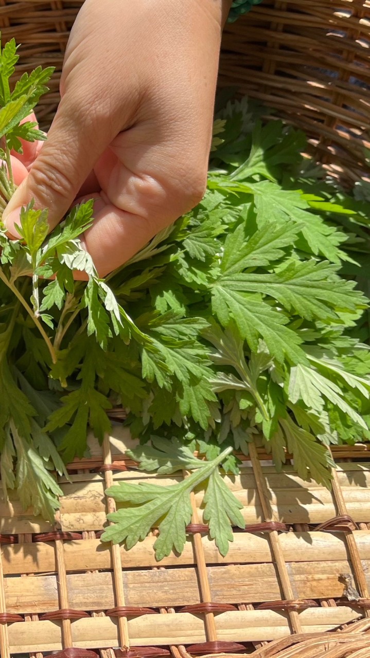 艾健康（艾灸&艾草食療）