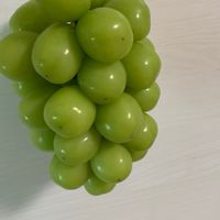 シャインマスカット産地直送👩‍🌾