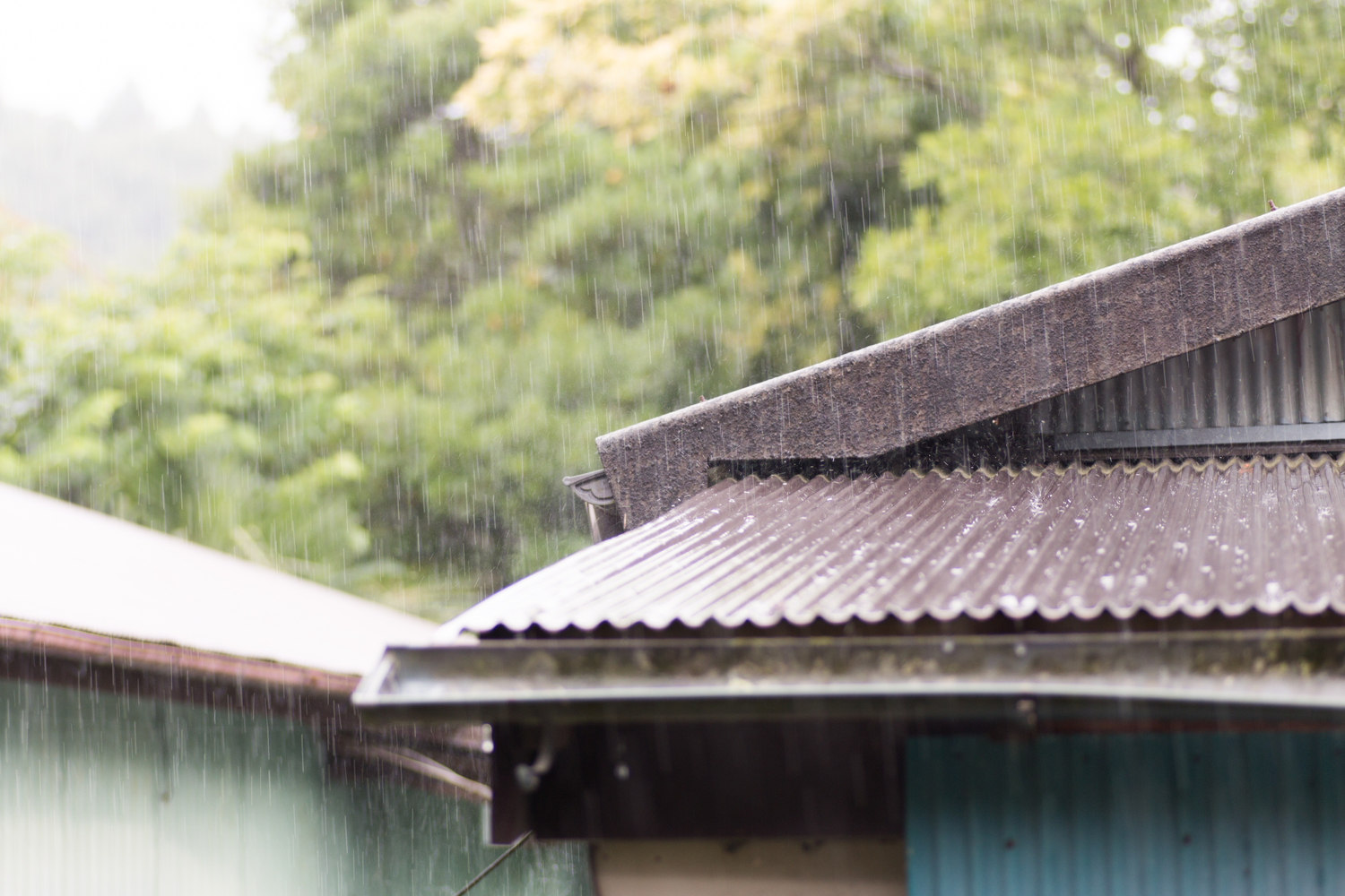 日本梅雨季