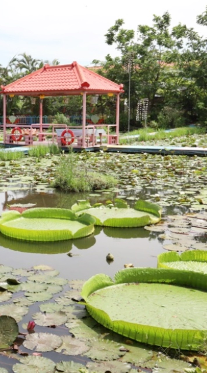 11/30.九品蓮花生態園區-台南了沒！鐵達尼號甲板用餐