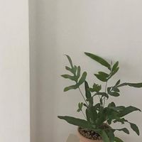 女學生穿搭討論區