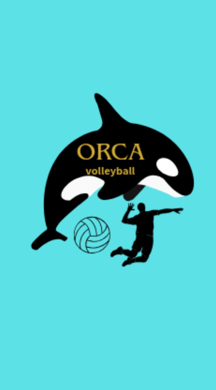 ORCA_volleyball