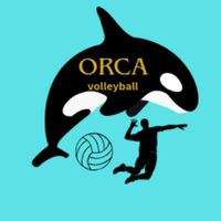 ORCA_volleyball