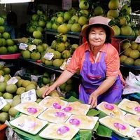 ส้มโอเจ๊หมวย📍ตลาดน้ำดอนหวาย